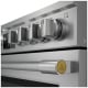 Frigidaire Professional 30 inch Range (PCFG3080AF)