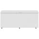 Frigidaire FFCL2562AW Chest Freezer