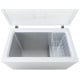 Frigidaire 8.7 cu. ft. White Chest Freezer (FFFC09M1RW)