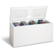 Frigidaire GLFC2528FW 24.9 cu. ft. Freezer