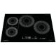 Surface de cuisson à induction Frigidaire FCCI3027AB 30 pouce