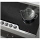 Frigidaire FPIC3677RF