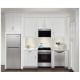 Frigidaire FCFE242CAS