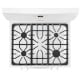 Frigidaire FFGF3051TW Gas Range