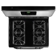 Frigidaire FFGF3053LS