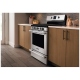 Frigidaire Professional 30 inch Range (FPGF3077QF)