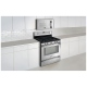 Frigidaire FPGF3081KF 30 inch Range