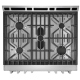 Frigidaire Professional FPGH3077RF Gas Range
