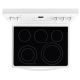 Frigidaire Gallery CGEF3035RW 30 inch Electric Range