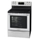 Frigidaire Gallery 30 inch Range (CGIF3061NF)