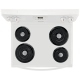 Frigidaire 30 inch Range (CFEF3012UW)