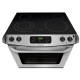 Frigidaire CFES3025PS Electric Range