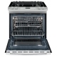 Frigidaire FPGS3085PF