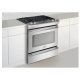 Frigidaire Professional FPGS3085PF 30 inch Range