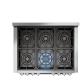 Fulgor Milano 36 inch Range (F6PGR366S1)