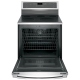 GE Profile 30 inch Range (PB911SJSS)