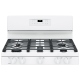 GE 30 inch Gas Range (JCGB660DEJWW)