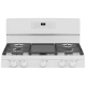 GE JCGB660DPWW Gas Range