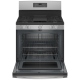 GE 30 inch Stainless Steel Gas Range (JCGB660SPSS)