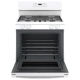 GE JCGBS61DPWW 30 inch Range
