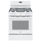 GE Profile PCGB911DEJWW Gas Range