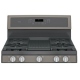 GE Profile PCGB911EEJES Gas Range