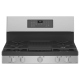 GE PCGB935YPFS