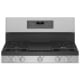 GE Profile 30 inch Stainless Steel Gas Range (PCGB965YPFS)