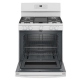GE JCGB660DPWW 30 inch Range