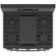 GE 30 inch Gas Range (PGB965BPTS)