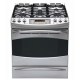 GE Profile 30 inch Range (P2S975SERSS)