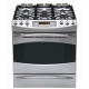GE Profile 30 inch Range (PGS975SERSS)