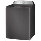 GE Profile 5.8 cu. ft. Top Load Washer (PTW600BPRDG)