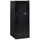 Haier 24 inch 9.8 cu. ft. Refrigerator (HA10TG21SB)