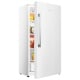Hisense 17 cu. ft. Freezer (FV17D6AWD)