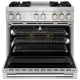 JennAir Rise 36 inch Range (JDRP536HL)