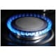 JennAir JGS1450ML Gas Range