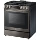 LG 30 inch Range (LSGL6335D)