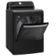 LG 7.3 cu. ft. Vented Electric Dryer (DLEX7900BE)