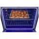 LG 30 inch Induction Range (LSIL6332XE)