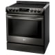 LG 30 inch Induction Range (LSE4616BD)