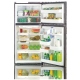 LG 19 cu. ft. Refrigerator (LTN19315SB)