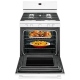 Maytag MGR6600FW 30 inch Gas Range