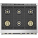 Monogram ZDP366NTSS 36 inch Dual Fuel Range