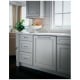 Monogram Dishwasher (ZDT985SINII)