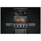 Napoleon Grills 69301 BBQ Accessory