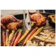 Napoleon Grills 70034