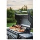 Napoleon Grills 70049 BBQ Accessory
