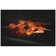 Napoleon Grills 70116 BBQ Accessory