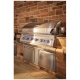 Barbecue Napoleon Grills BIG44RBNSS